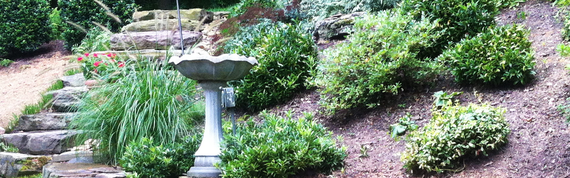 landscaping-services