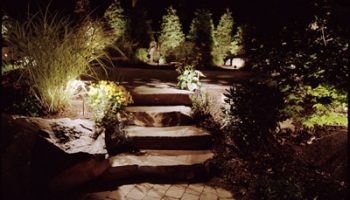 Low Voltage Lighting